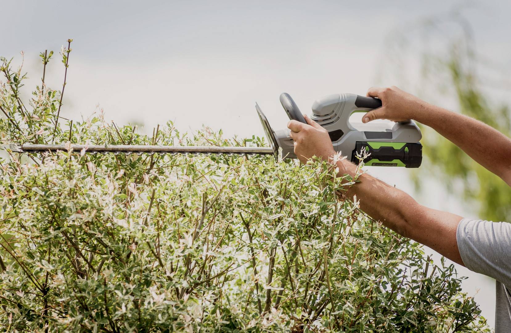 Akumulatorowe nożyce do przycinania krzewów i żywopłotów